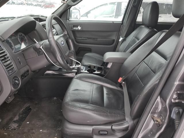 2009 Ford Escape Limited