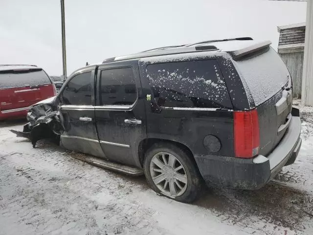 2013 Cadillac Escalade Platinum Hybrid