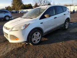 Salvage cars for sale at Finksburg, MD auction: 2015 Ford Escape S