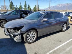 Honda Accord ex salvage cars for sale: 2015 Honda Accord EX