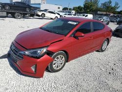 Salvage cars for sale from Copart Opa Locka, FL: 2019 Hyundai Elantra SE