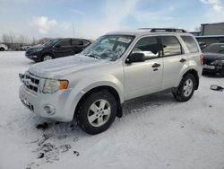 Salvage cars for sale at Wayland, MI auction: 2012 Ford Escape XLT