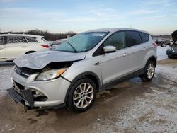 Ford salvage cars for sale: 2014 Ford Escape SE