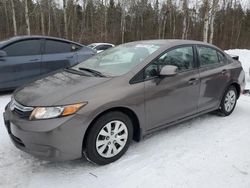 Honda Civic Vehiculos salvage en venta: 2012 Honda Civic LX