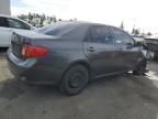 2009 Toyota Corolla Base