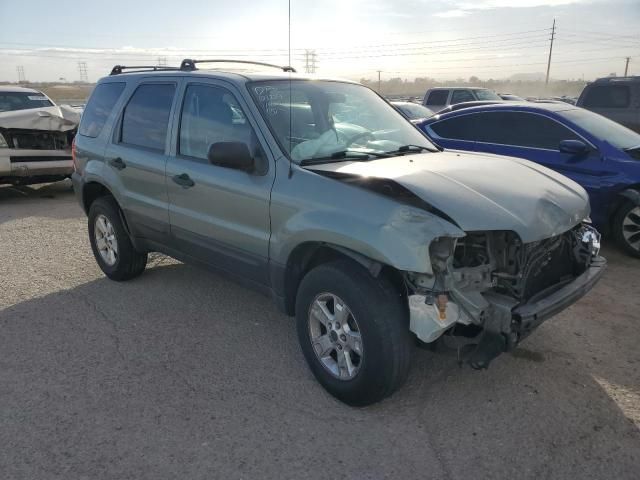 2007 Ford Escape XLT