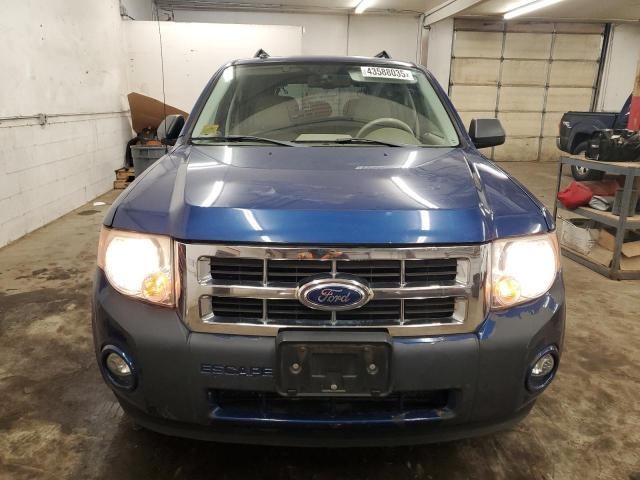 2008 Ford Escape XLT