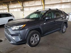 Salvage cars for sale at Phoenix, AZ auction: 2023 Toyota Rav4 XLE