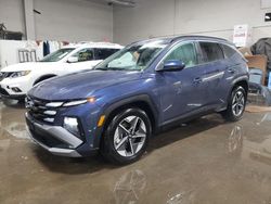 Salvage cars for sale at Elgin, IL auction: 2025 Hyundai Tucson SEL