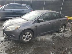 Ford salvage cars for sale: 2013 Ford Focus SE