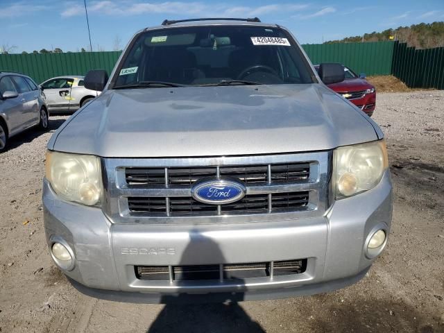 2011 Ford Escape XLT