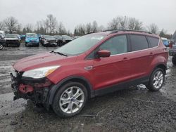 Salvage cars for sale at Portland, OR auction: 2013 Ford Escape SE