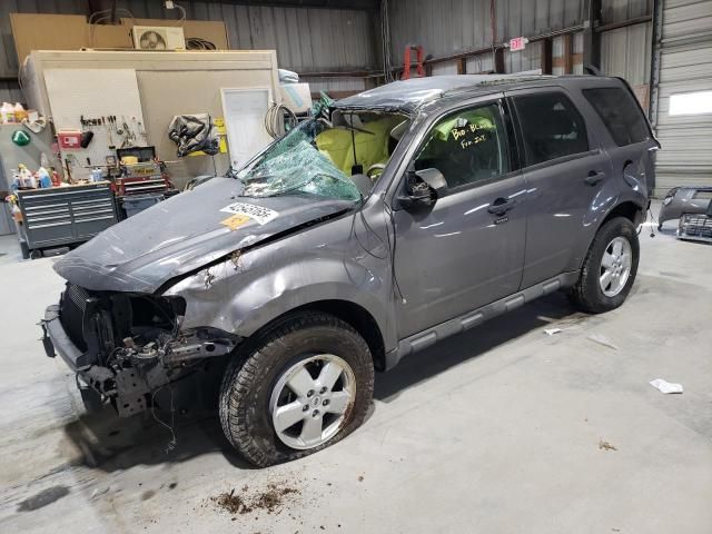 2009 Ford Escape XLT