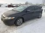 2008 Honda Civic EXL