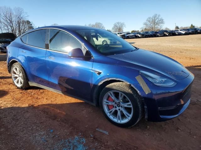 2020 Tesla Model Y