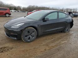 Salvage cars for sale from Copart Conway, AR: 2021 Tesla Model 3