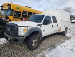 Salvage trucks for sale at Avon, MN auction: 2012 Ford F450 Super Duty