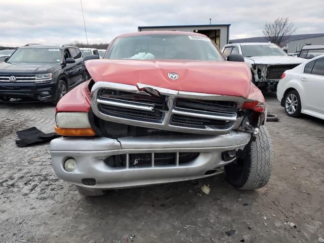 2004 Dodge Dakota Quad SLT