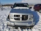 2010 Dodge Nitro Heat