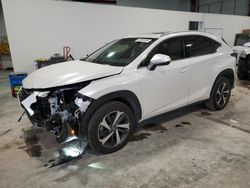 2019 Lexus NX 300 Base en venta en Greenwood, NE