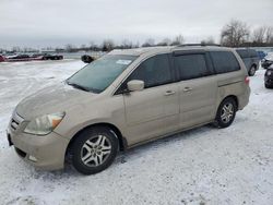 2006 Honda Odyssey Touring en venta en London, ON