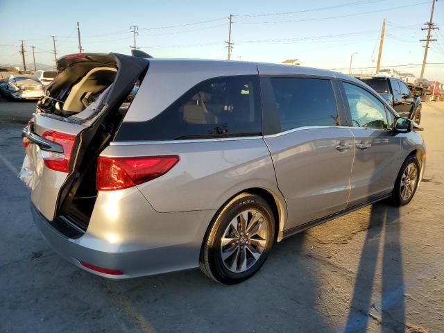 2024 Honda Odyssey EXL