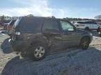 2007 Ford Escape XLT