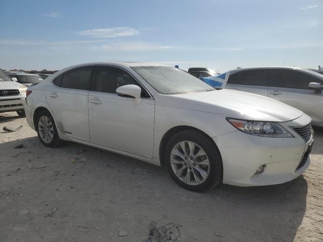 2014 Lexus ES 300H