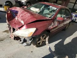 Honda Accord salvage cars for sale: 2003 Honda Accord EX