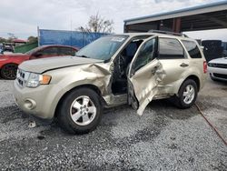 Salvage cars for sale at Riverview, FL auction: 2012 Ford Escape XLT