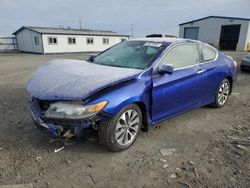 Salvage cars for sale from Copart Airway Heights, WA: 2013 Honda Accord EXL