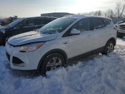 Vehiculos salvage en venta de Copart Wayland, MI: 2014 Ford Escape SE