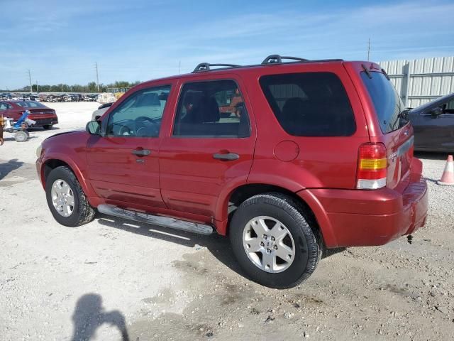 2007 Ford Escape XLT