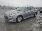 2014 Hyundai Sonata Hybrid