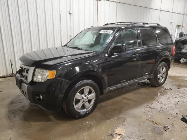 2010 Ford Escape Limited