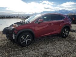 Salvage cars for sale at Magna, UT auction: 2020 Lexus NX 300H