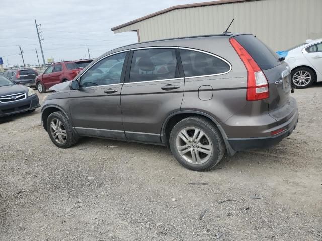 2010 Honda CR-V EXL