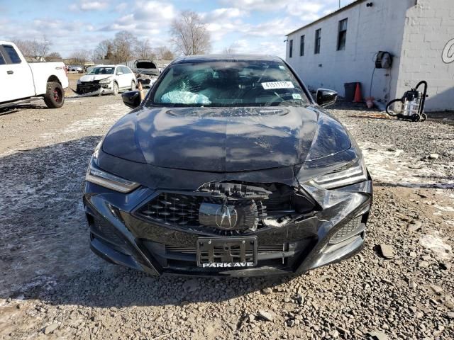 2023 Acura TLX A-Spec