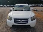 2007 Hyundai Santa FE GLS