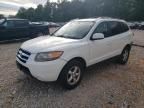 2007 Hyundai Santa FE GLS