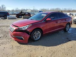 Salvage cars for sale at Louisville, KY auction: 2015 Hyundai Sonata SE