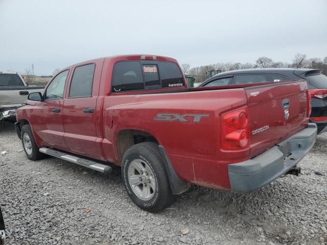 2008 Dodge Dakota SXT