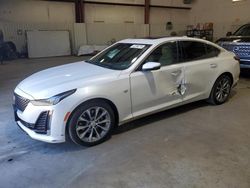 Salvage cars for sale from Copart Lufkin, TX: 2021 Cadillac CT5 Premium Luxury