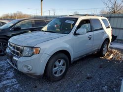 Ford salvage cars for sale: 2010 Ford Escape Limited