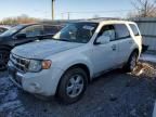 2010 Ford Escape Limited