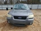 2007 Ford Escape XLT