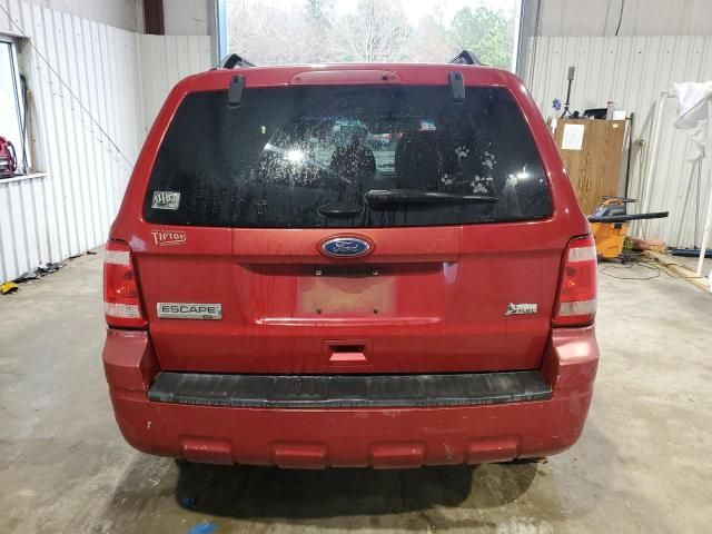 2011 Ford Escape XLT