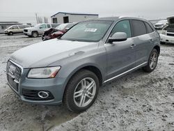 Audi salvage cars for sale: 2014 Audi Q5 TDI Premium Plus