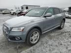 2014 Audi Q5 TDI Premium Plus