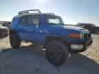 2007 Toyota FJ Cruiser